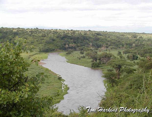 The view from our tent.jpg